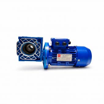 Мотор-редуктор UD-RV-050-60-15-0,18В5-F-В3 МПТ 72000025563