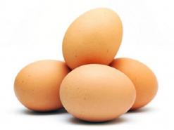 Обработка яиц по СанПиНу в общепите