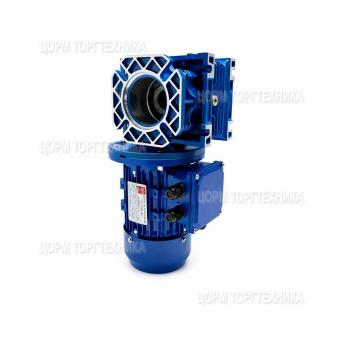 Мотор-редуктор UD-RV-050-60-15-0,18В5-F-В3 МПТ 72000025563